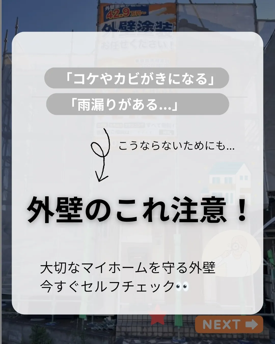 おうちの壁、最後にじっくり見たのはいつですか？🏠✨