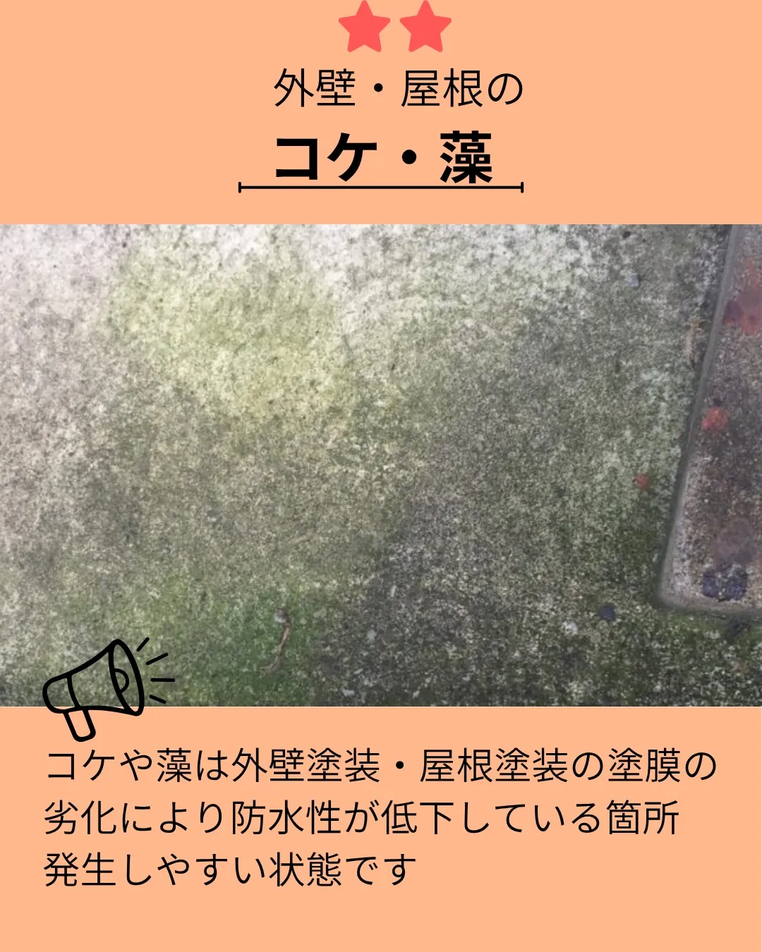 おうちの壁、最後にじっくり見たのはいつですか？🏠✨