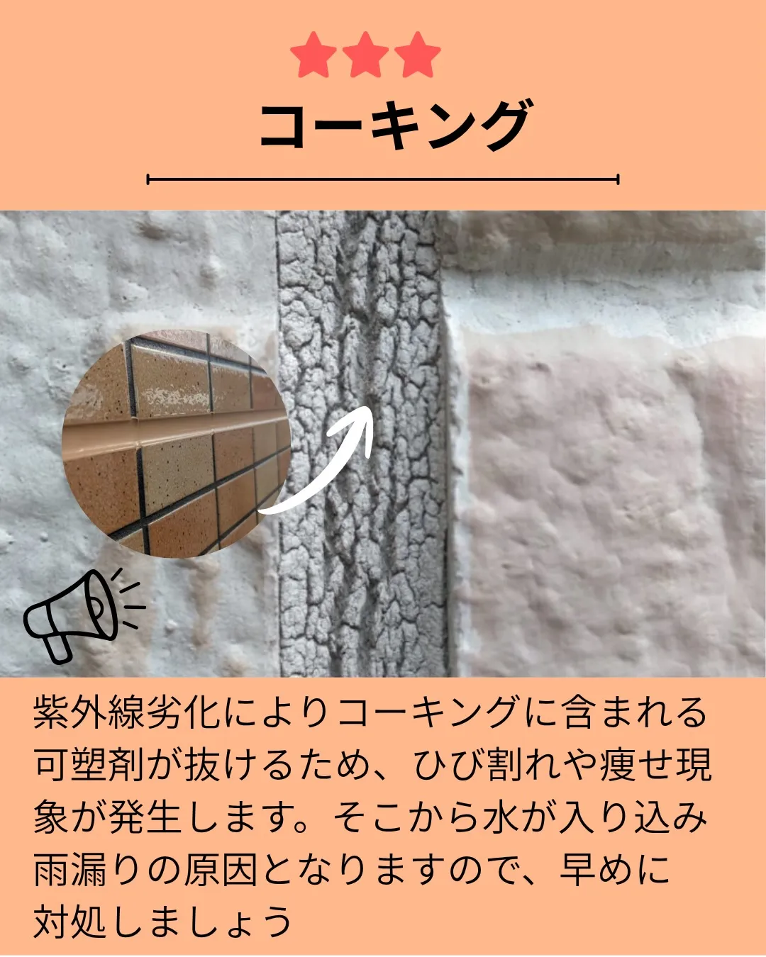 おうちの壁、最後にじっくり見たのはいつですか？🏠✨