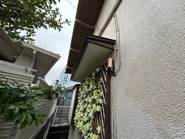 Before