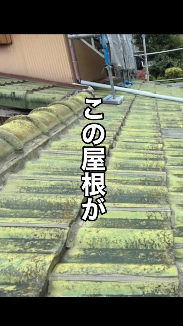 普段あまり目にはいらない屋根🏠